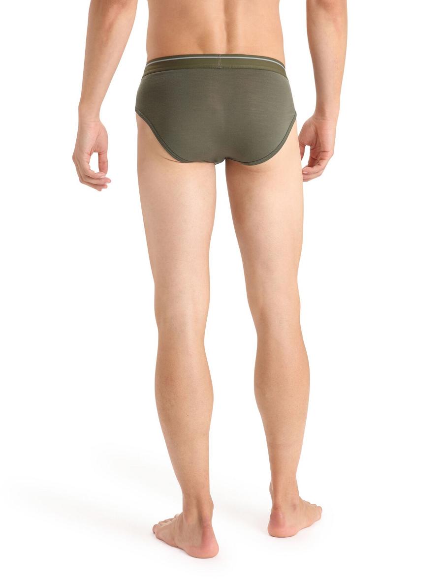 Loden Men's Icebreaker Merino Anatomica Briefs Underwear | USA 1297LISH